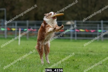 IMG_4236.jpg