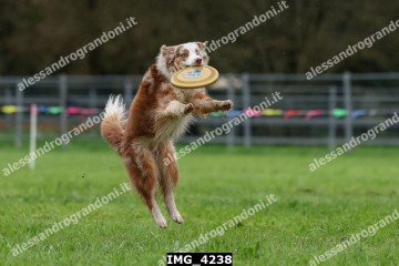 IMG_4238.jpg