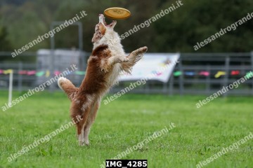 IMG_4285.jpg