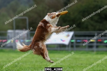 IMG_4288.jpg