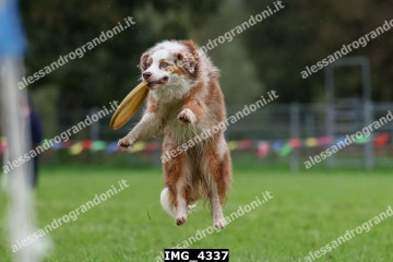 IMG_4337.jpg