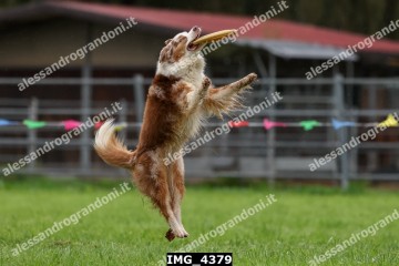 IMG_4379.jpg