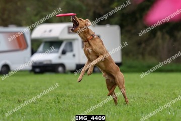 IMG_4409.jpg
