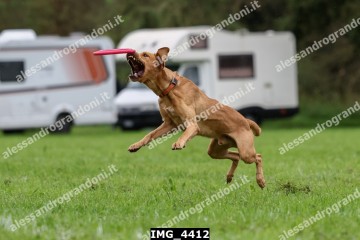 IMG_4412.jpg