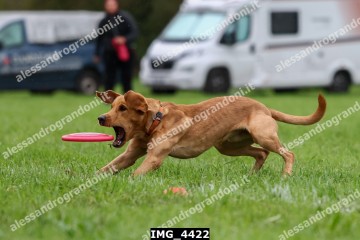 IMG_4422.jpg