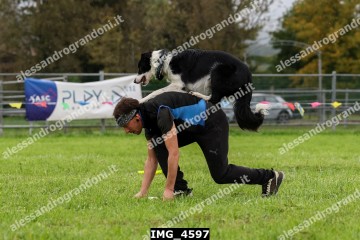 IMG_4597.jpg