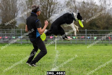 IMG_4682.jpg