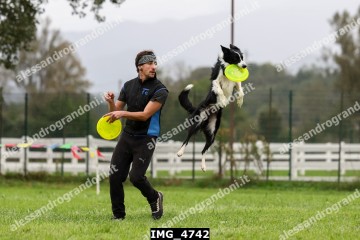 IMG_4742.jpg