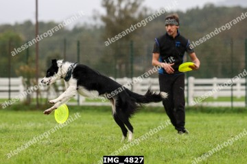 IMG_4827.jpg