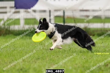 IMG_4897.jpg