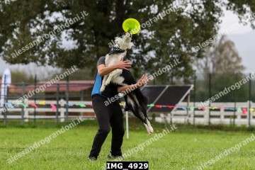 IMG_4929.jpg