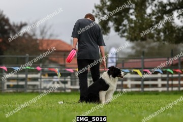 IMG_5016.jpg
