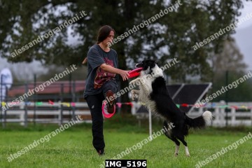 IMG_5196.jpg