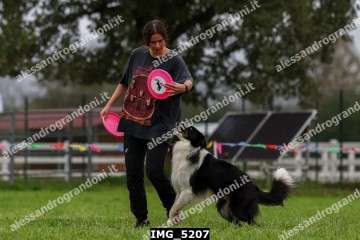 IMG_5207.jpg