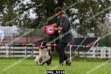 IMG_5219.jpg