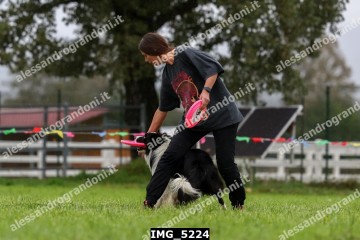 IMG_5224.jpg