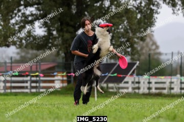 IMG_5230.jpg