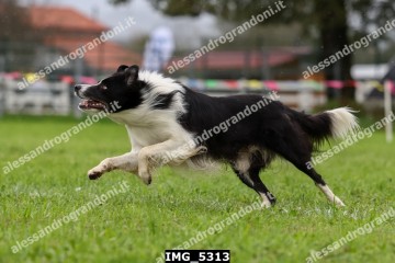 IMG_5313.jpg