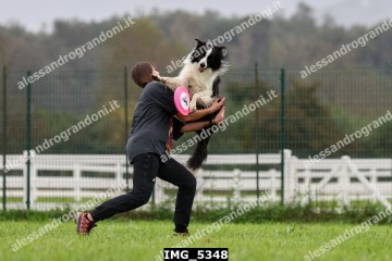 IMG_5348.jpg