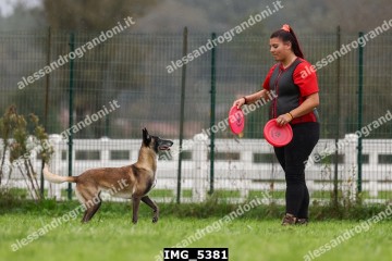 IMG_5381.jpg