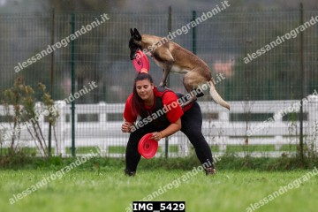 IMG_5429.jpg