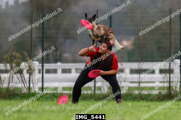 IMG_5441.jpg