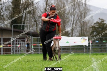 IMG_5638.jpg