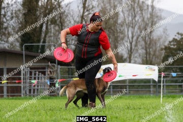 IMG_5642.jpg