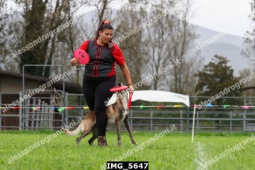 IMG_5647.jpg