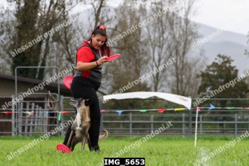 IMG_5653.jpg