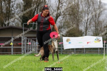 IMG_5660.jpg