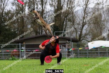 IMG_5676.jpg