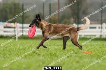 IMG_5713.jpg
