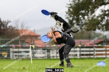 IMG_5828.jpg