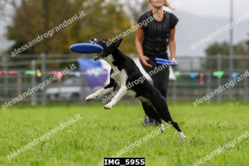 IMG_5955.jpg
