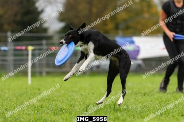 IMG_5958.jpg