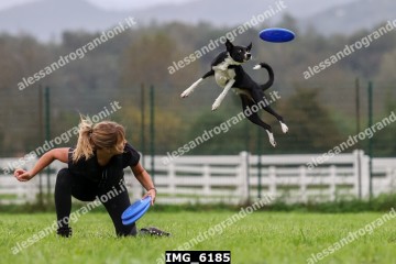 IMG_6185.jpg