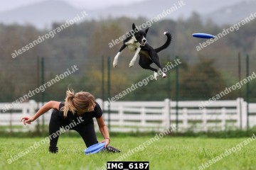 IMG_6187.jpg