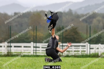 IMG_6265.jpg