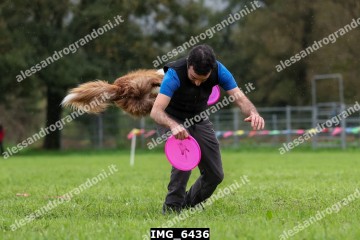 IMG_6436.jpg