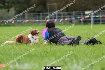IMG_6480.jpg