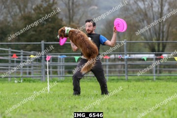 IMG_6546.jpg