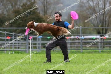 IMG_6548.jpg