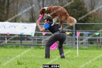 IMG_6584.jpg