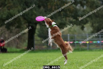 IMG_6615.jpg