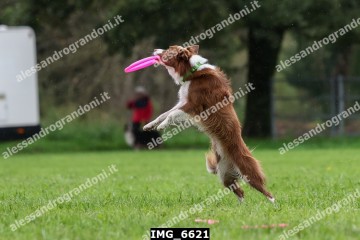 IMG_6621.jpg