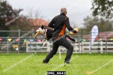 IMG_6642.jpg