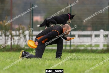 IMG_6690.jpg