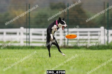 IMG_6708.jpg