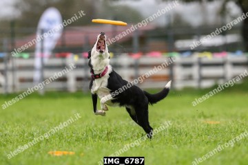 IMG_6787.jpg